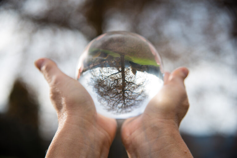 cropped-image-person-holding-crystal-ball-with-reflection-tree