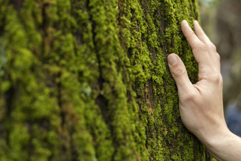 hand-touching-tree-moss-close-up