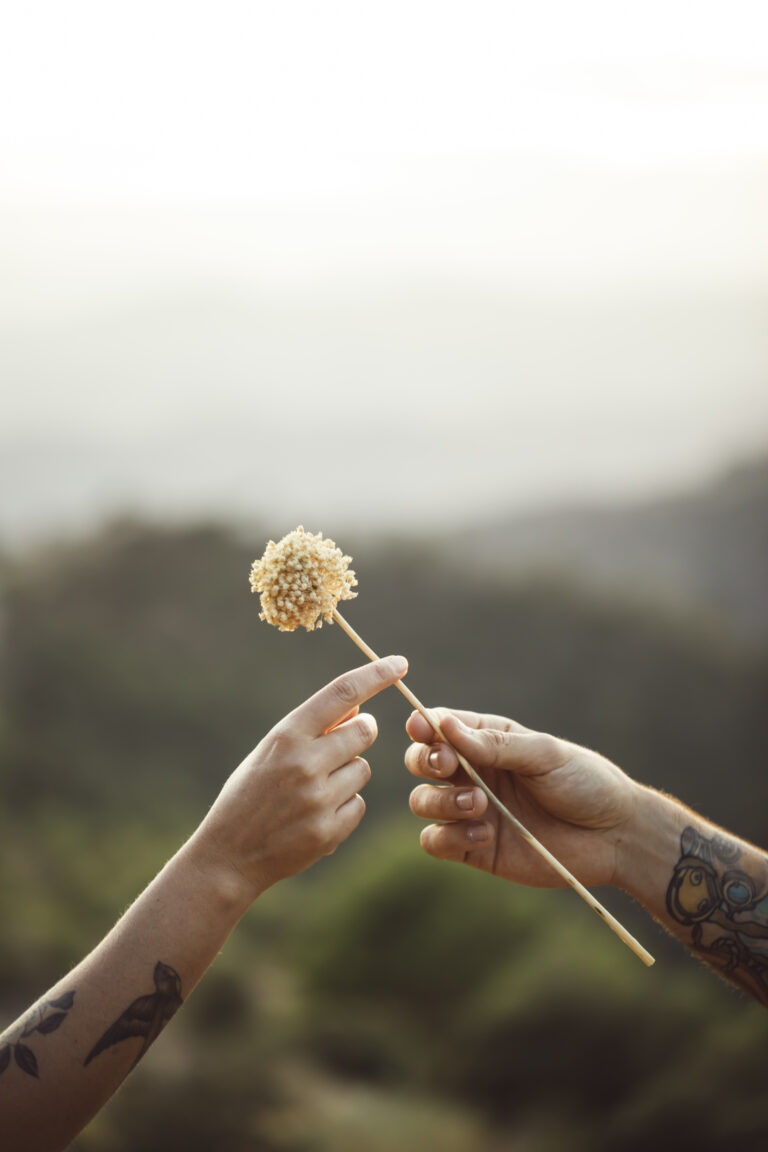love-gesture-dandelion-being-offered